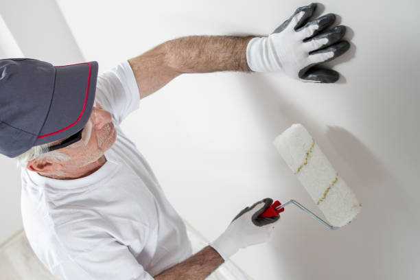 Best Mold Damage Restoration  in Knoxville, TN