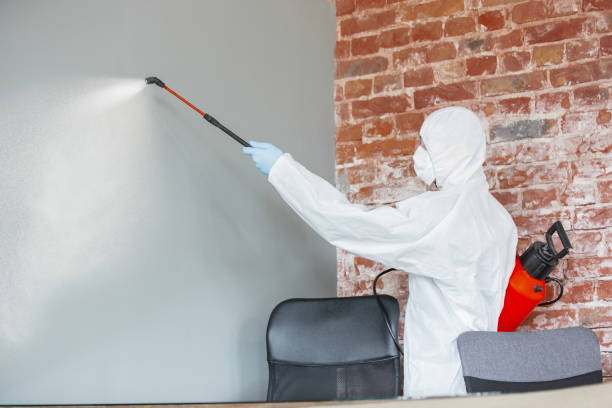 Best Post-Construction Mold Inspection  in Knoxville, TN