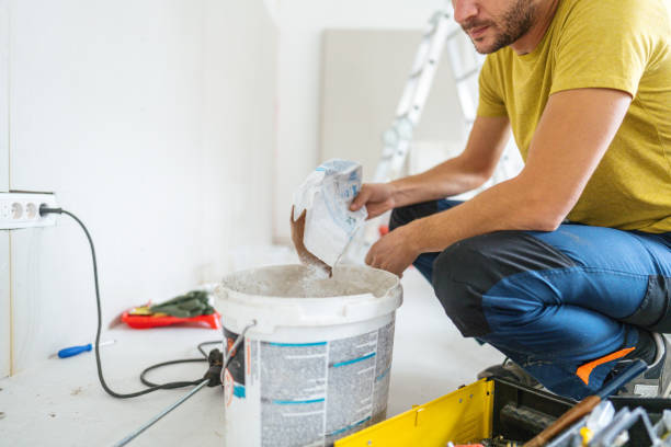 Best Black Mold Removal  in Knoxville, TN