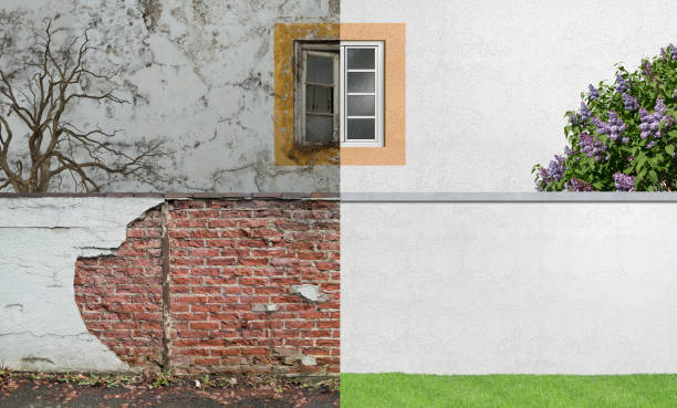 Best Mold Prevention Services  in Knoxville, TN