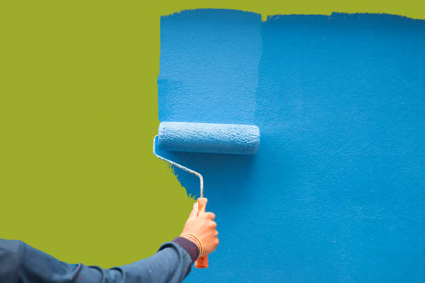 Best Attic Mold Removal  in Knoxville, TN